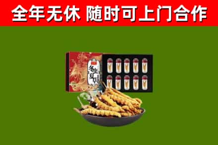 金华烟酒回收冬虫夏草礼盒.jpg